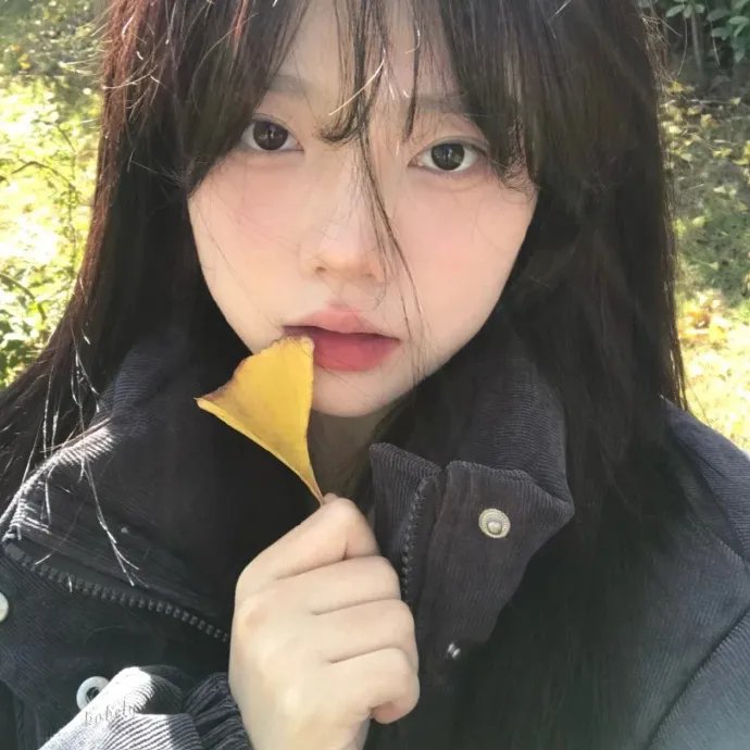 挎斗摩托车里的狗