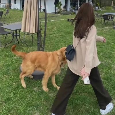 卧虎藏龙