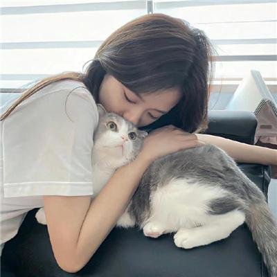 犹如故人来